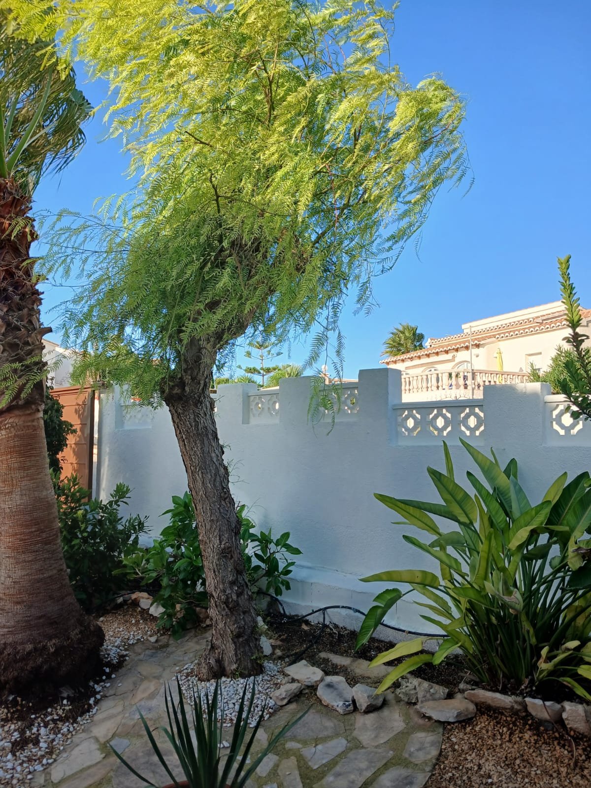 A freshly painted white garden boundary wall with decorative pierced blockwork