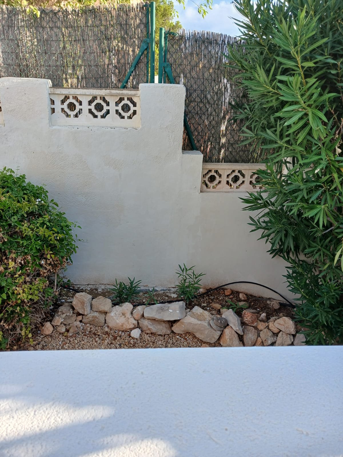 A garden boundary wall with pierced decorative blockwork, freshly painted cream